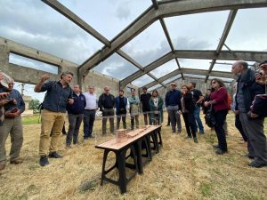 mediacion museo regional