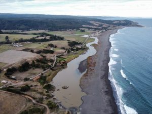 humedal cobquecura taucu