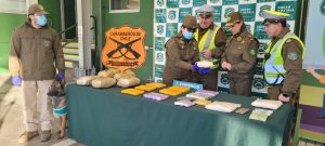 WhatsApp Image 2024-07-01 at 10.57.49