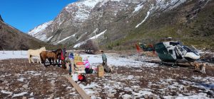 carabineros montaña