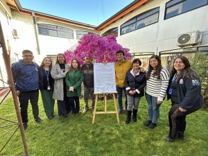 460176079_829718639337429_8909827826828679730_n