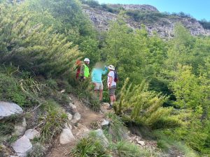 WhatsApp Image 2024-11-23 at 21.05.45