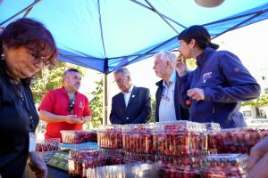 WhatsApp Image 2024-12-16 at 16.49.44