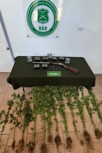 WhatsApp Image 2024-12-21 at 14.56.10