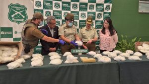 WhatsApp Image 2024-12-23 at 12.31.50