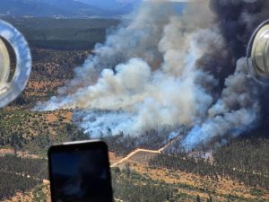 WhatsApp Image 2024-12-24 at 15.41.01