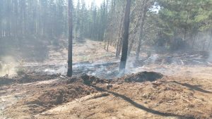 WhatsApp Image 2025-01-03 at 17.51.33