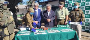 WhatsApp Image 2025-01-13 at 11.15.49