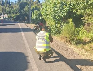 WhatsApp Image 2025-01-13 at 12.41.25