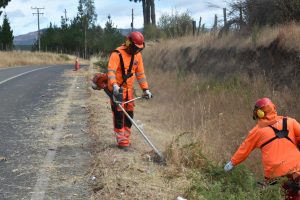 LIMPIEZA CAMINOS MOP