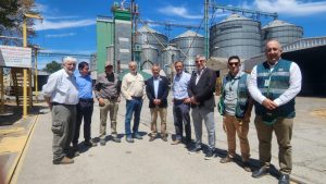 WhatsApp Image 2025-01-17 at 17.27.18