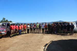 WhatsApp Image 2025-01-22 at 17.31.55