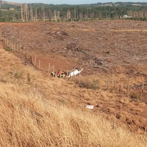 WhatsApp Image 2025-01-28 at 20.29.39