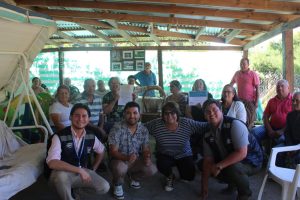 WhatsApp Image 2025-01-31 at 16.38.15