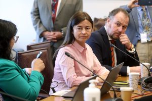 BRAVO - VILLA MADERA