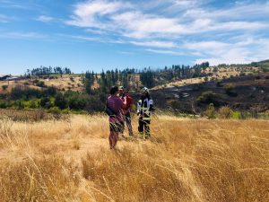 WhatsApp Image 2025-02-09 at 12.57.32