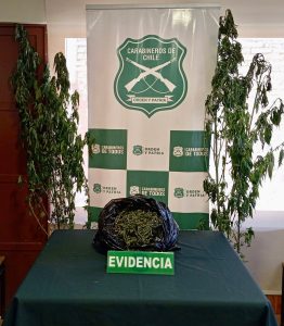 WhatsApp Image 2025-02-12 at 11.19.49