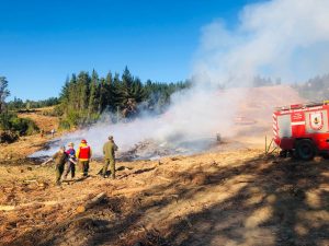 WhatsApp Image 2025-02-24 at 09.26.10