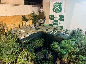 WhatsApp Image 2025-02-26 at 16.25.47