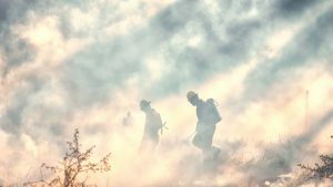 cuidados ante incendios forestales