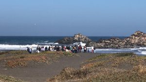 WhatsApp Image 2025-03-16 at 11.37.19