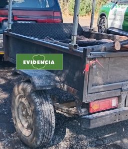 WhatsApp Image 2025-03-23 at 22.19.47