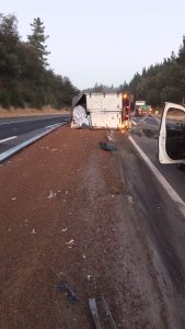 WhatsApp Image 2025-03-25 at 09.02.44