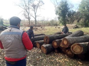 WhatsApp Image 2025-04-01 at 14.49.17