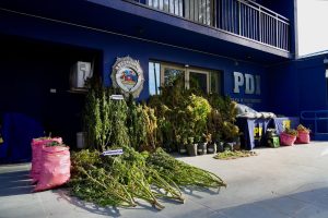 WhatsApp Image 2025-04-04 at 12.33.52