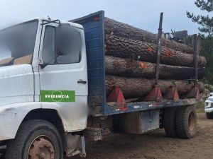 WhatsApp Image 2025-06-12 at 17.02.17