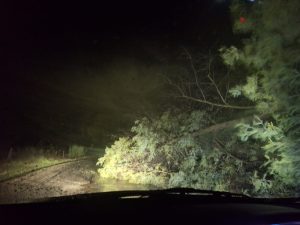 WhatsApp Image 2025-06-14 at 20.01.17