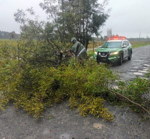 WhatsApp Image 2025-06-15 at 11.22.28