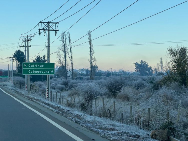 ARCHIVO QUIRIHUE NOTICIAS