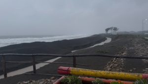 PERALES MURO COELEMU