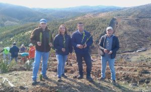 Plantaciones Ñuble 3