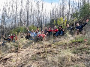 Reforestacion comunitaria quillon julio-15