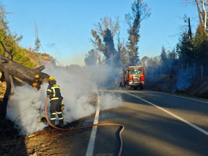 WhatsApp Image 2025-07-21 at 17.03.13