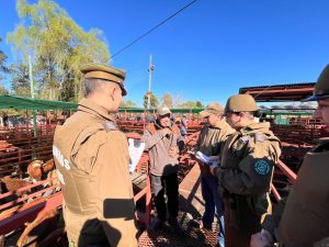 WhatsApp Image 2025-08-25 at 12.47.35