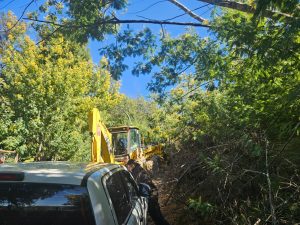 WhatsApp Image 2025-08-25 at 14.19.07