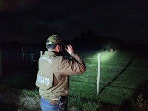 CARABINEROS ABIGEATO NOCHE