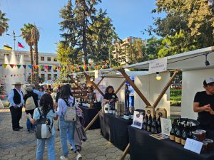 WhatsApp Image 2025-09-02 at 14.33.40