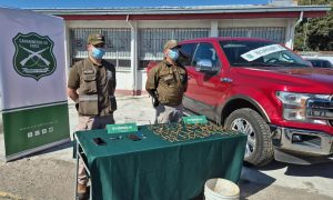 WhatsApp Image 2025-09-23 at 12.43.03