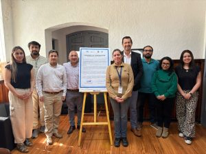 WhatsApp Image 2025-10-09 at 10.59.03