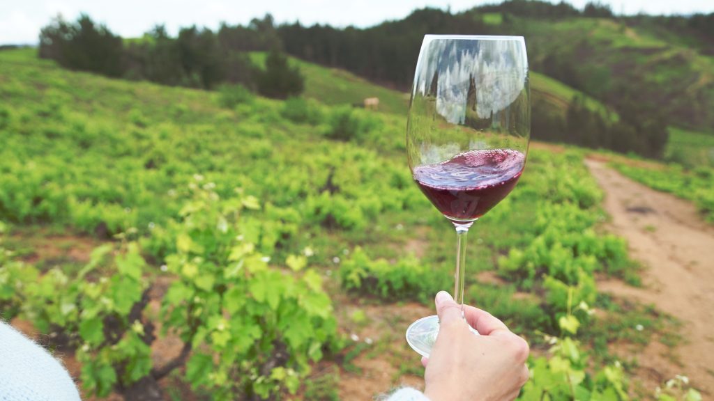 VINO