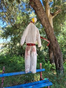 WhatsApp Image 2025-11-14 at 13.06.38