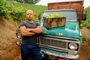 PABLO SOLIS_VIÑA EL GUINDO