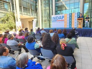 Programa TAS secano interior de Ñuble 2