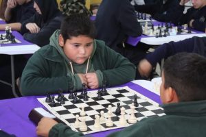 WhatsApp Image 2025-12-12 at 11.33.17