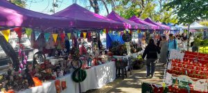 WhatsApp Image 2025-12-17 at 18.17.51