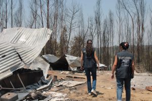 0a4aff17-c203-4c07-9d16-3dcb1cde065c